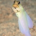 jawfish_yellowhead_dw_wc_v_0086_tci1911.jpg
